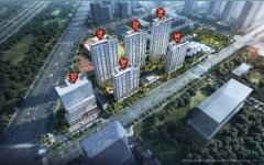 划践行“人车完全分流”